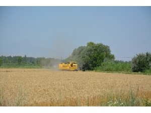 “Tarım Ve Gıdada Akıllı Yatırımlar Hızla Büyüyor”