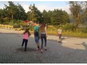 Abant Tabiat Parkı’nı Yavru Kurbağalar İstila Etti