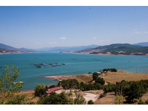 Türkiye Genelinden 100 Kanocu Almus’ta Kürek Çekecek