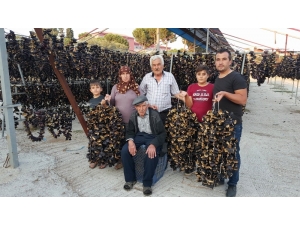 Yaşını Satamayınca Kuruttular, Şimdi Tüm Dünyaya Satıyorlar