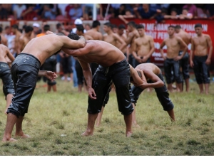 Kırkpınar Guinness Yolunda