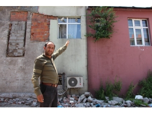 Ardahan’da Duvarda Yeşeren Söğüt Şaşırttı