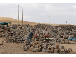 Siirtli Oduncular Satışlardan Memnun