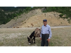 Şaphaneli Özçelik Çiftçi, 50 Yıldır Üretiyor