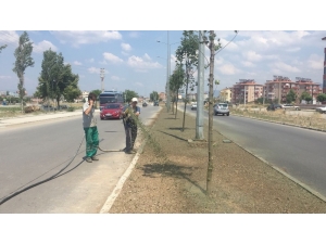 Melih Pabuççuoğlu’na Son Teknoloji Çimlendirme Sistemi