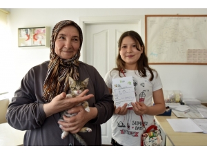 Doğal Yaşam Merkezi, 6 Ayda 532 Hayvan Sahiplendirdi