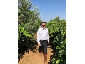 Bakan Pakdemirli Hafta Sonu Mesaisini İzmir’e Ayırdı