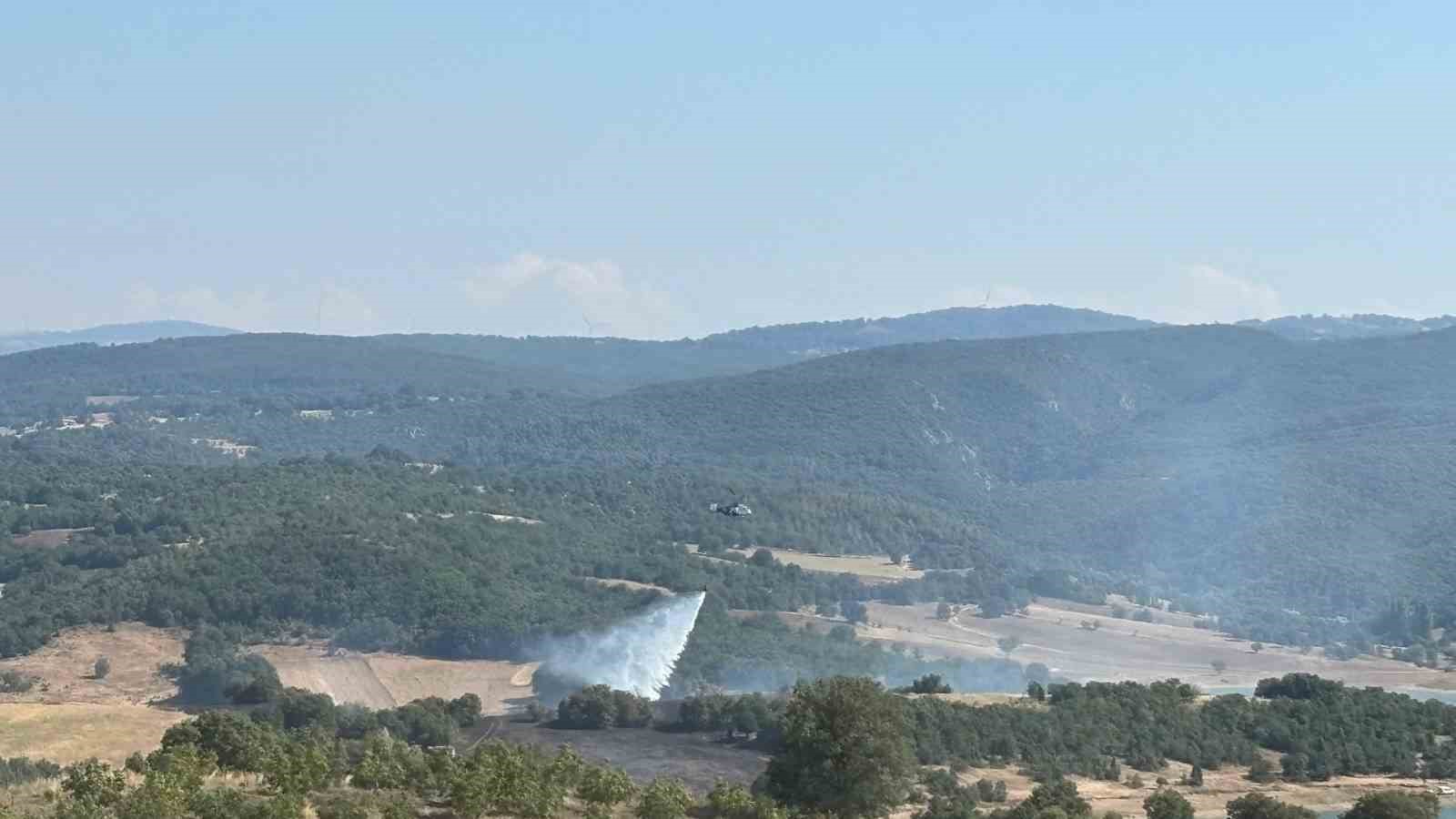 bilecik-te-ormanlik-alandaki-yangin-kontrol-altina-alindi