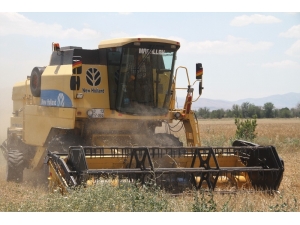 Elazığ’da 1 Milyon Dekar Alanda Hububat Hasadı
