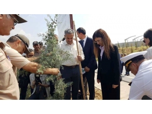 Şehitler İçin Hatıra Ormanı