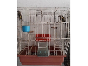 Saka Kuşlarını Satana 2 Bin 190 Lira Para Cezası