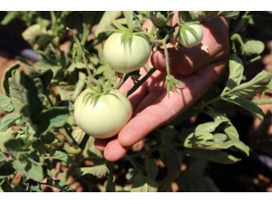 Emine Erdoğan Sosyal Medya Hesabından Paylaştı