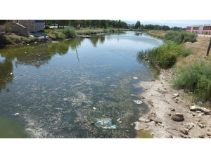 Balıkesir’de Balık Ölümleri Ve Trafik Kazalarına Tepki Gösteren Tatilciler Yol Kapattı