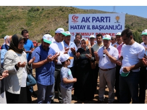 Şehitler İçin Fidanlar Dikildi