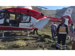 Yaylada Doğum Sancısı Tutan Hamile Kadın İçin Seferber Oldular