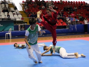 Manisa’da 15 Temmuz Şehitleri Anısına Tekvando Turnuvası