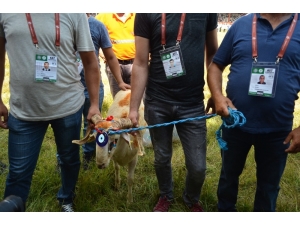 658. Tarihi Kırkpınar Ağası Seyfettin Selim Oldu