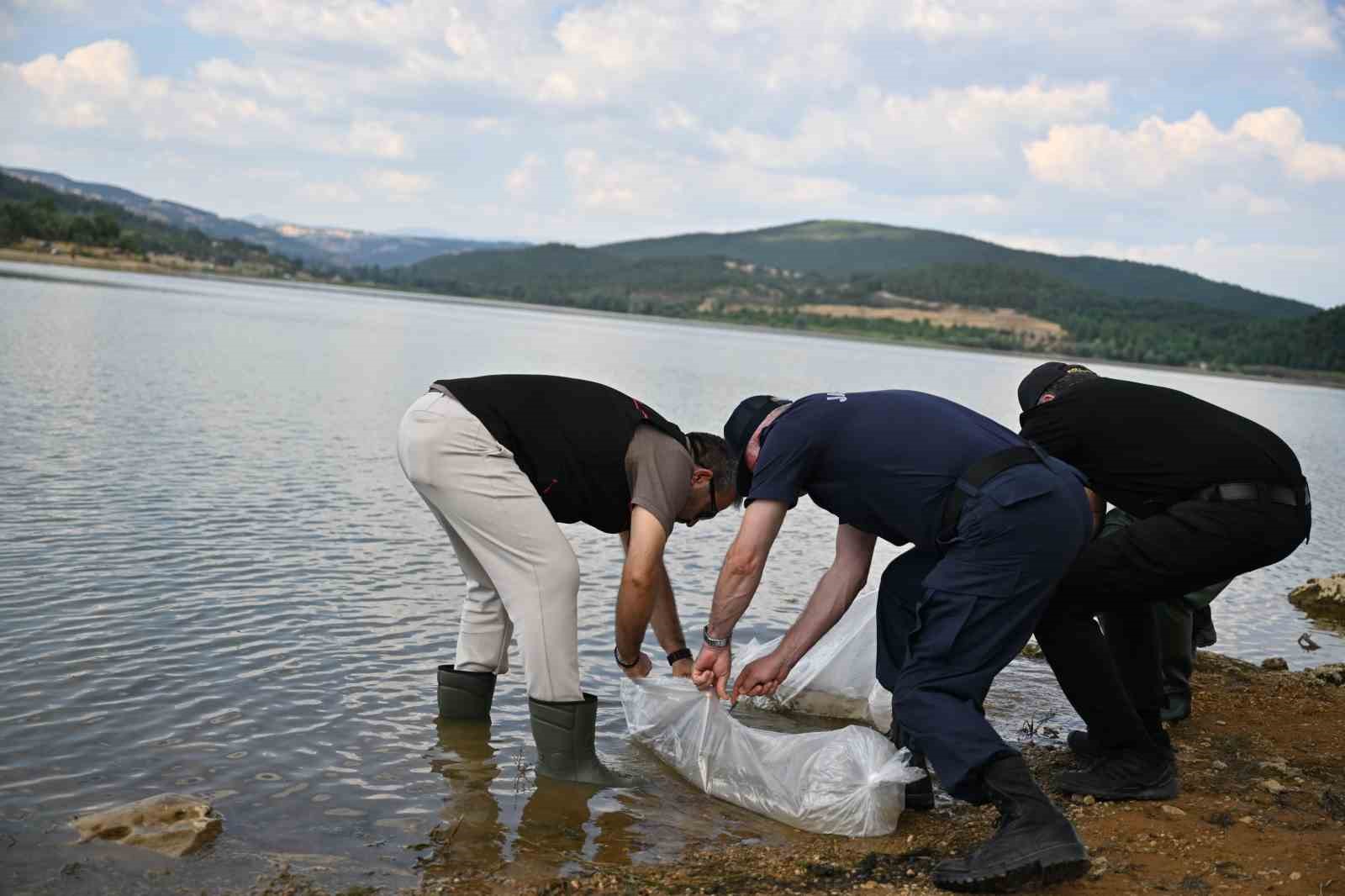 usak-ta-gogem-goleti-ne-pullu-sazan-yavrulari-birakildi