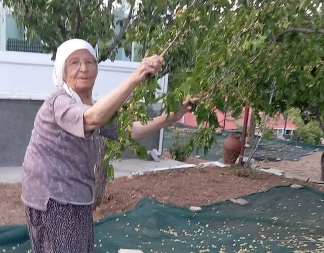85-yasindaki-cift-geleneksel-yontemlerle-dut-pekmezi-uretimini-surduruyor