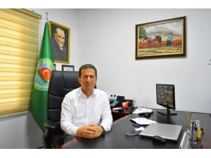 Akdeniz Meyve Sineğine Kültürel Önlem