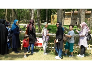 Ko-mek Yaz Kursları Sosyal Faaliyetlerle Renkleniyor