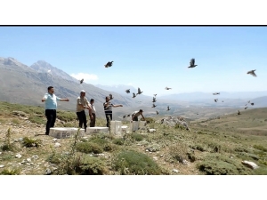 Niğde’de Kınalı Keklikler Doğayla Buluştu