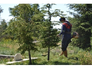 Şuhut’ta Kurban Bayramı Öncesi Mezarlık Temizliği