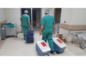 Organları 3 Hastaya Umut Oldu