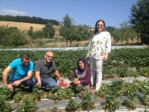 19 Mayıs’ta ’Engiz Çileği’ Marka Oluyor