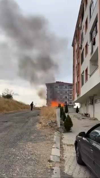 pire-kovarken-kumesten-oldu