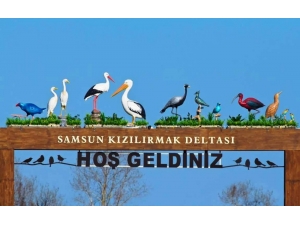 Kuş Cenneti, Araç Trafiğine Kapatıldı