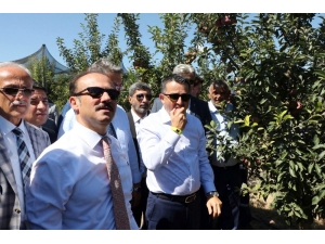 Bakan Pakdemirli, Yozgat’ta Meyve Bahçesini Gezdi