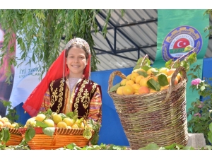 Kahramanmaraş’ta Kayısı Tarla Günü