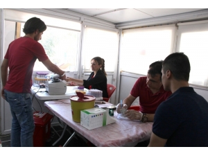 Ceylanpınar’da Kan Bağışına Yoğun İlgi