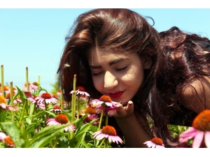 Van Gölü Kıyısında Renk Cümbüşü