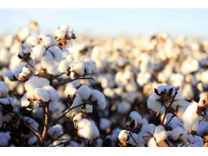 Kocabaş; “Borsadaki Fiyat İlan Yöntemi Değişmeli”