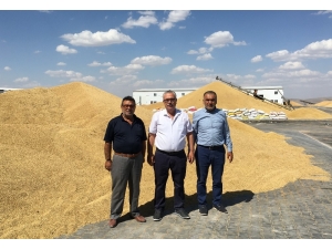 Aksaray Ticaret Borsası Başkanı Özkök, Ortaköy’de Tesis İnceledi