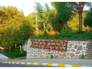 Kurşunlu Rengarenk Çiçeklerle Bezendi