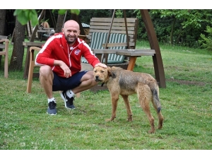 Hekimoğlu Trabzon Fk Kaptanı Emrullah Kokoç, Bolu Kampını Değerlendirdi