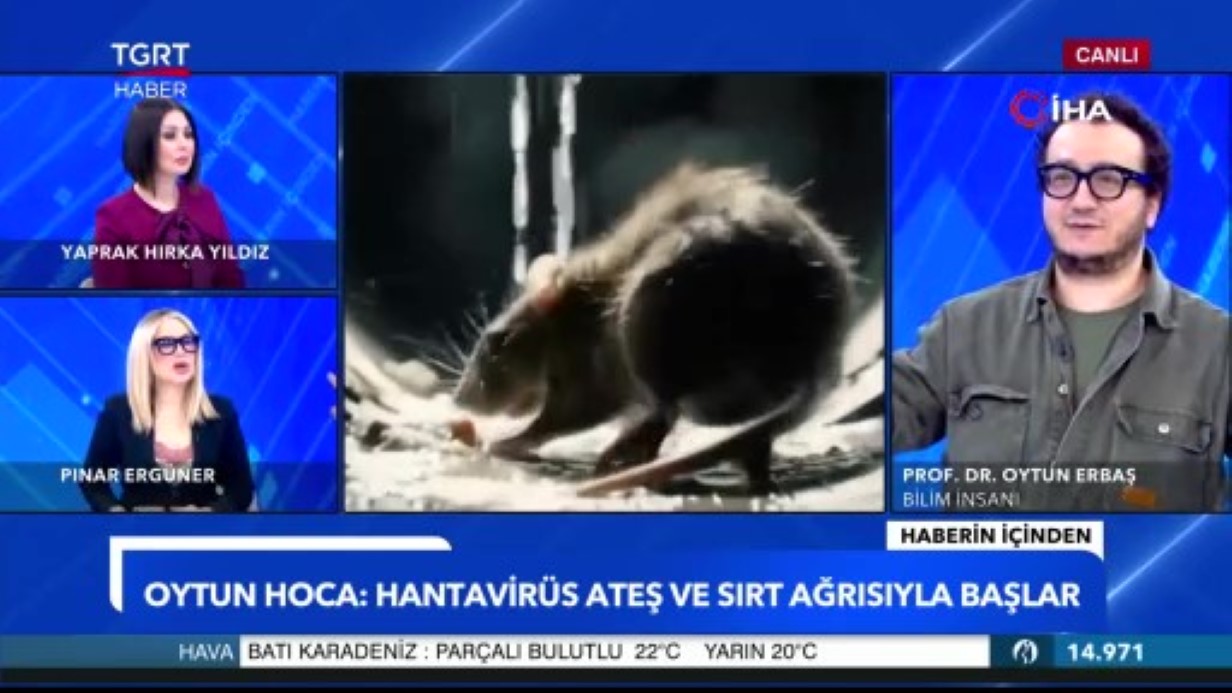 prof-dr-oytun-erbas-tan-hantavirus-aciklamasi-insandan-insana-bulasmiyordu-bir-varyanti-var-and-v-virusu-insandan-insana-bulasiyor