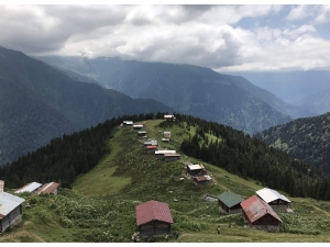 Herkes Bu Yaylalara Koşuyor