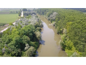 Osb’nin Atık Suları İle Kirlenen Sakarya Nehri Havadan Görüntülendi