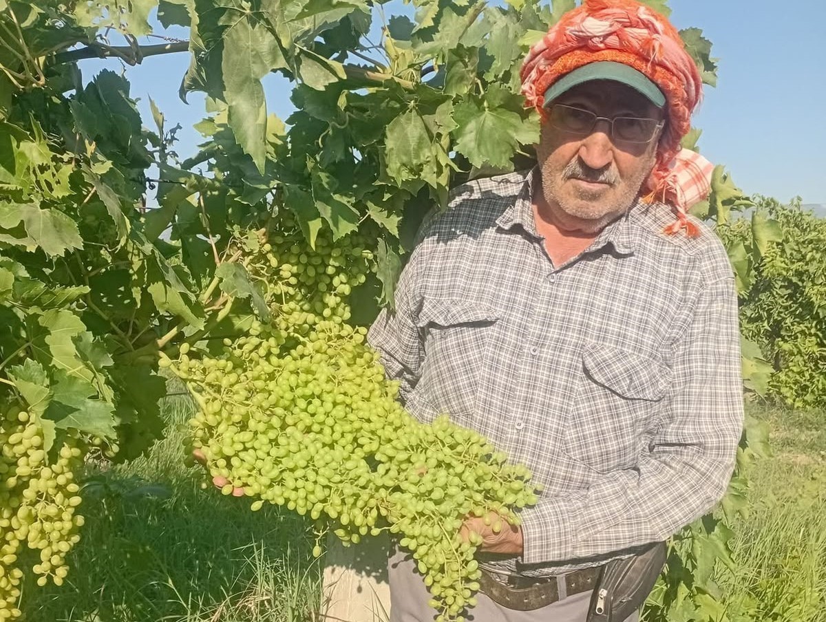 sarigol-de-dev-salkimlar-ihracat-yolunda