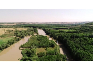 Diyarbakır’da Şehrin Kenarında Saklı Kuş Cenneti