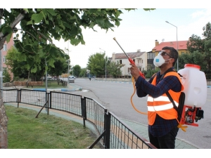 Aziziye’de Kapsamlı İlaçlama Çalışması Başladı