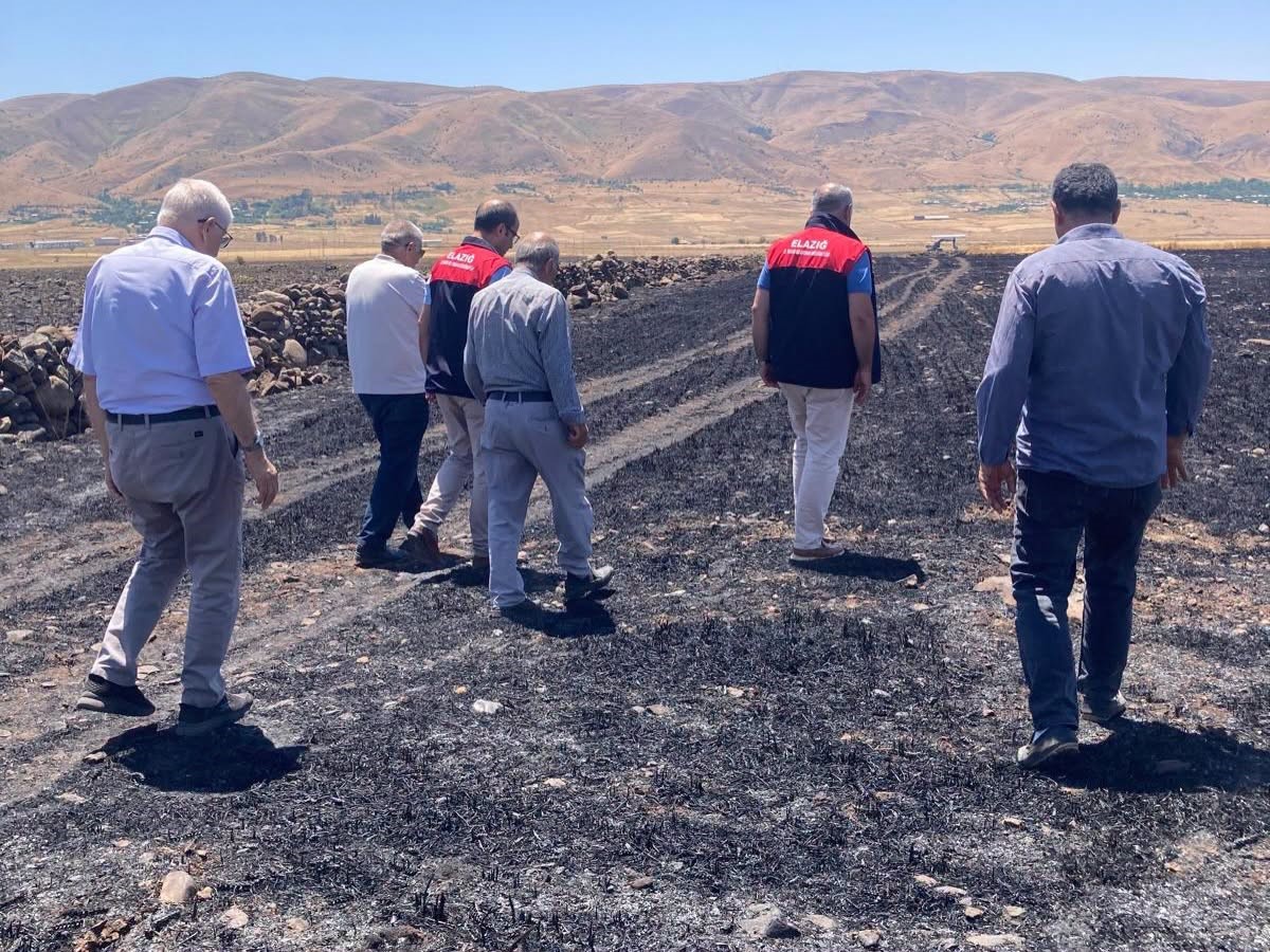 elazig-da-kule-donen-70-donumluk-ekili-alanda-hasar-tespit-calismalari