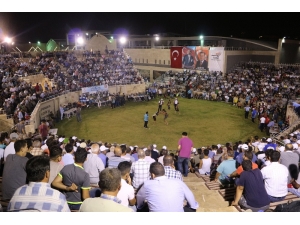 Türkiye Aba Güreşi Şampiyonası Hatay’da Yapıldı