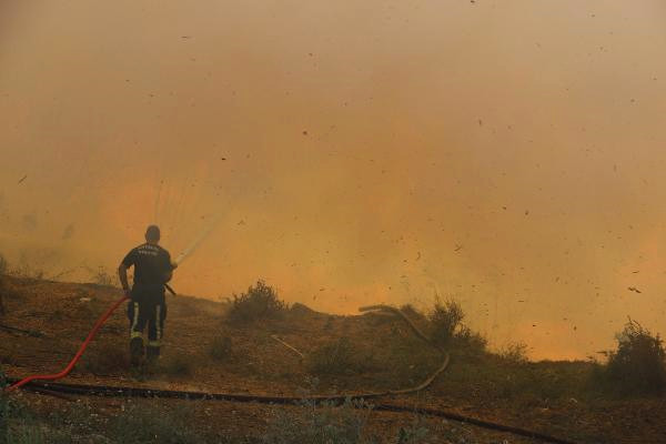 Antalya'da Orman Yangını! Evler Ve Seralar Da Zarar Gördü