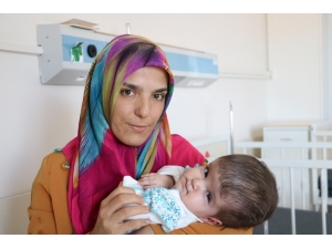 Şifa Bebek Çare Arıyor