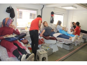 Hakkarili Kadınlardan Kan Bağışına Büyük İlgi